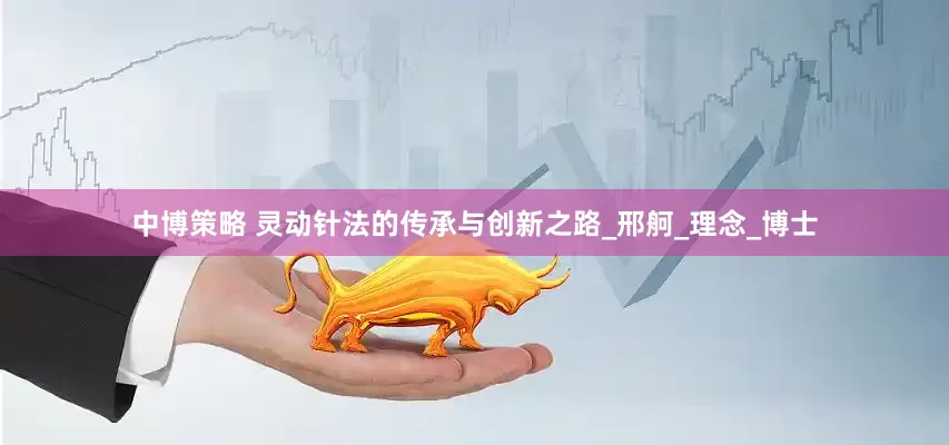 中博策略 灵动针法的传承与创新之路_邢舸_理念_博士