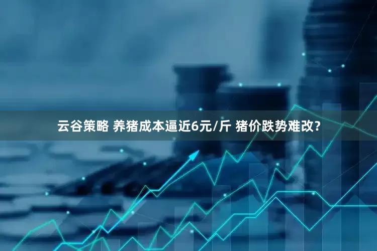 云谷策略 养猪成本逼近6元/斤 猪价跌势难改？