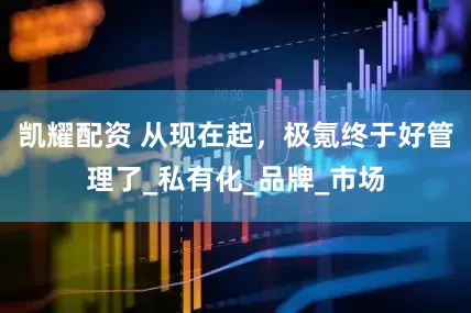 凯耀配资 从现在起，极氪终于好管理了_私有化_品牌_市场