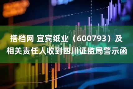 搭档网 宜宾纸业（600793）及相关责任人收到四川证监局警示函