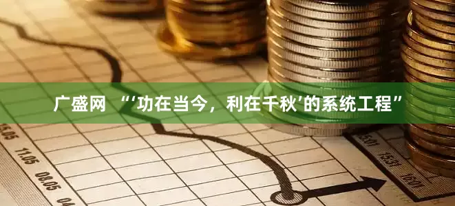 广盛网  “‘功在当今，利在千秋’的系统工程”